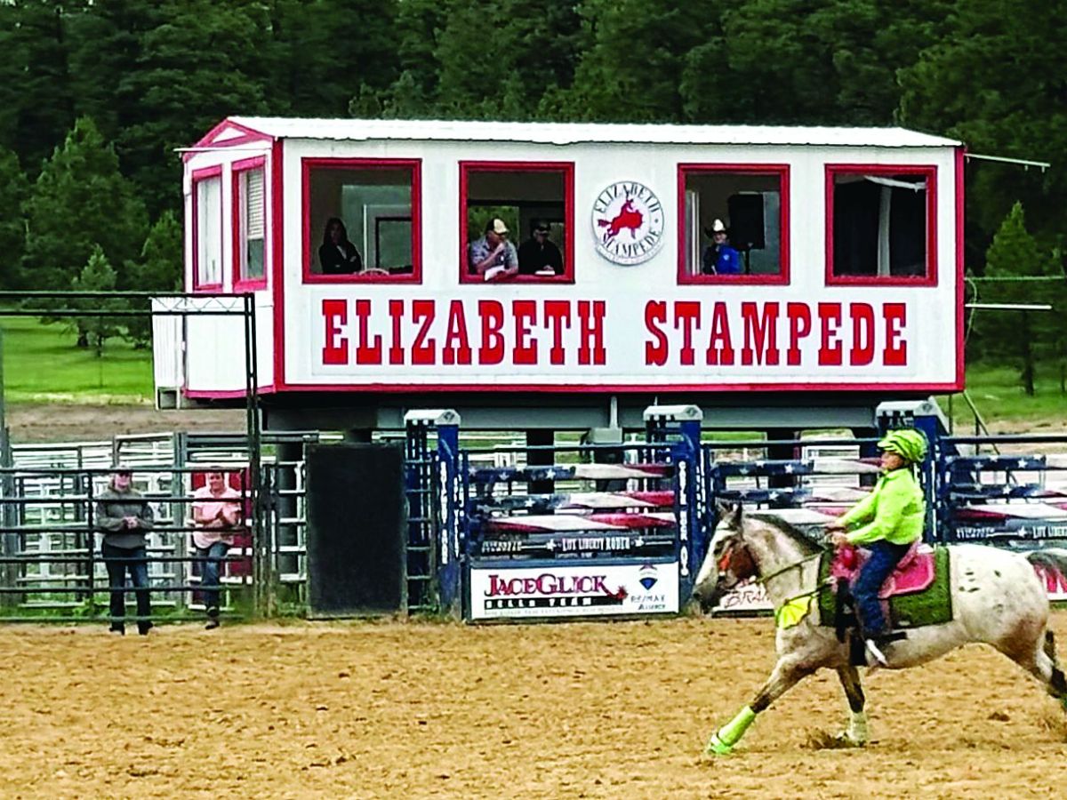 Charity holds gymkhana in Elizabeth